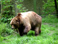 20040509_Zoo Wuppertal
