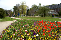 20080427_Botanischer Garten Münster